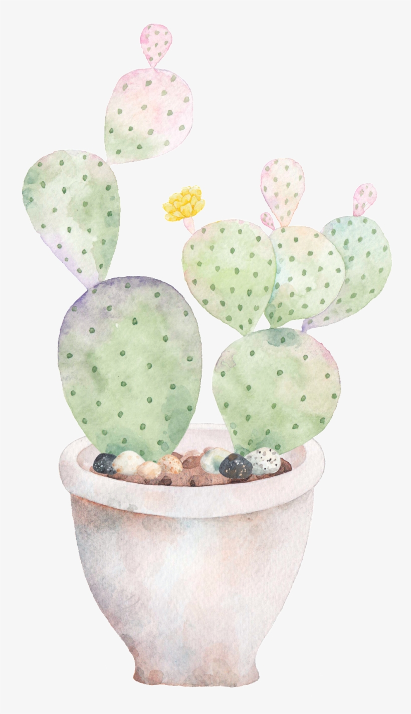 Hand Painted A Plate Of Cactus Png Transparent - Cactus, transparent png #7816566