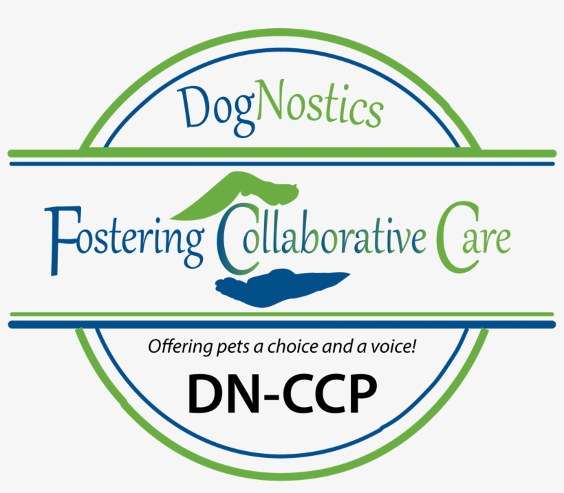 Simply Purchase The Certification Program, Take The - Graphic Design, transparent png #7816791