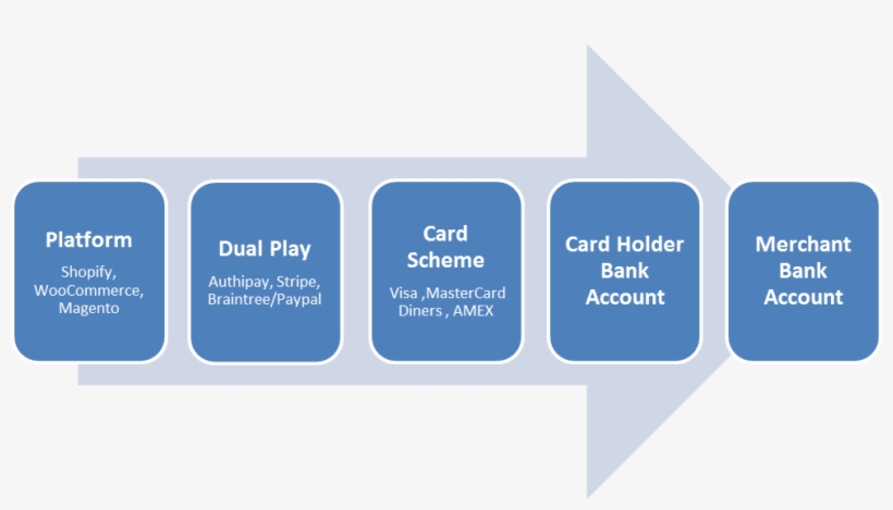 Scenario - Mentoring Process, transparent png #7816883