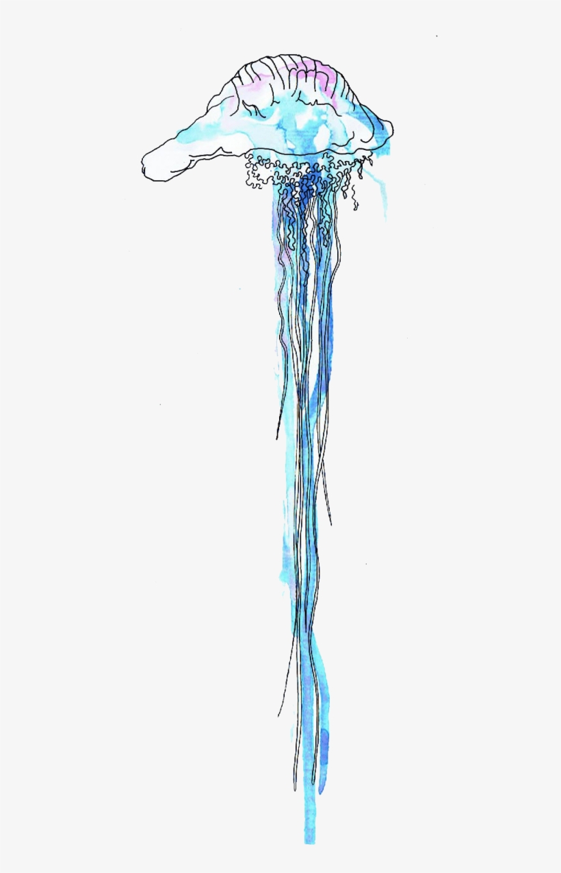 Free Png Download Blue Bottle Jellyfish Free Desktop - Sketch, transparent png #7817198