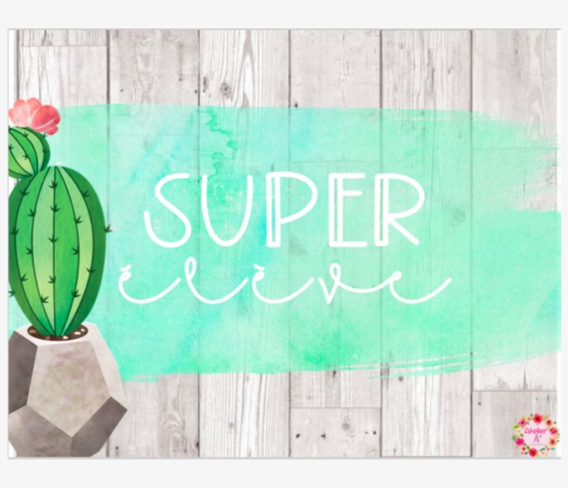 Houseplant, transparent png #7817462