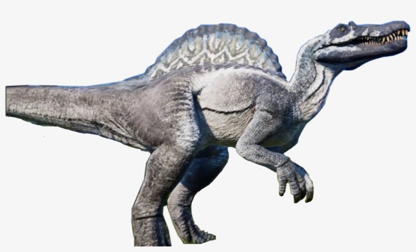 Spinosaurus Sticker - Velociraptor, transparent png #7817975