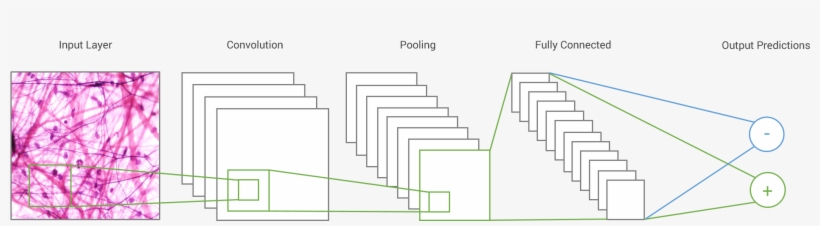 Accurate - Architecture, transparent png #7817981
