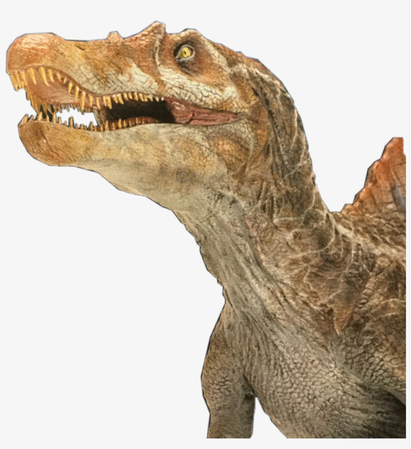 Spinosaurus Sticker - Velociraptor, transparent png #7818281