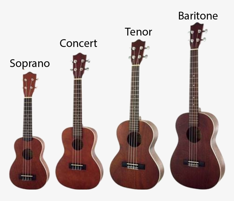 What Are The Different Types Of Ukulele - Soprano Vs Concert Ukulele, transparent png #7818428