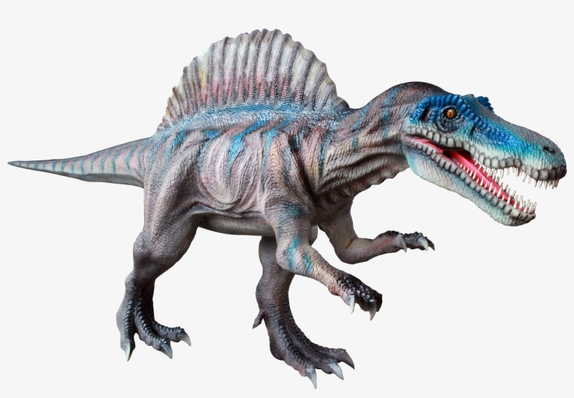 Ad-05 5m Animatronic Spinosaurus Statue - Tyrannosaurus, transparent png #7818877