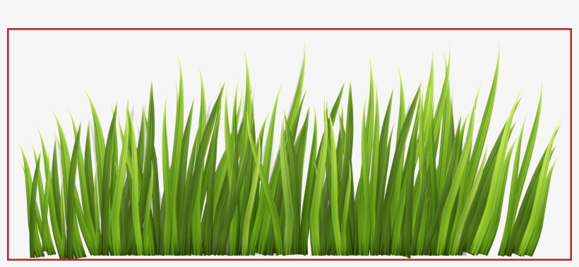 Stunning Fence With Grass And Flowers Png Clipar Image - Grass Clipart, transparent png #7819443