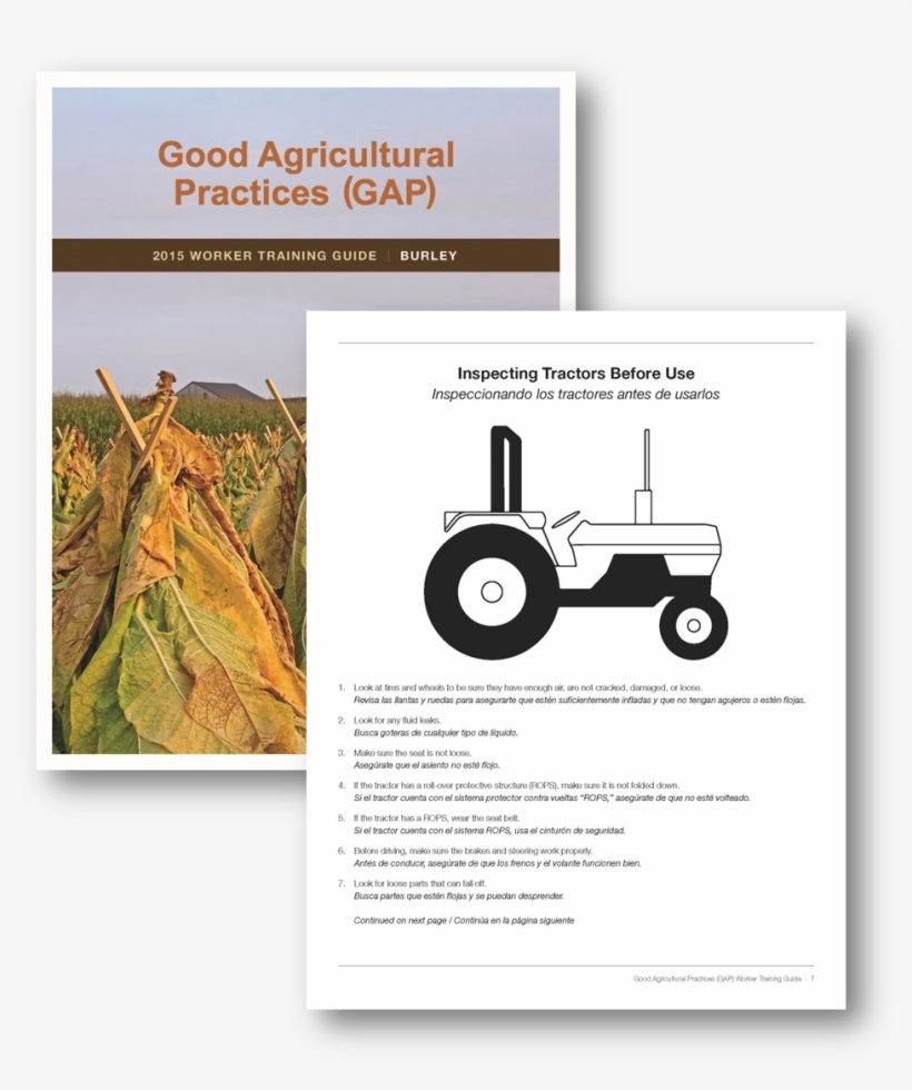 Worker Training Guide Burley - Tractor, transparent png #7819717