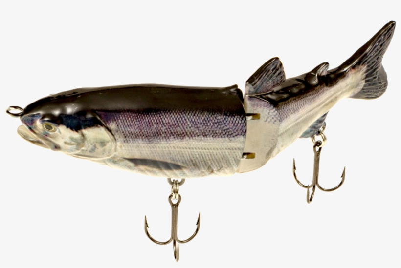 More Views - Kokanee Swimbait, transparent png #7821713