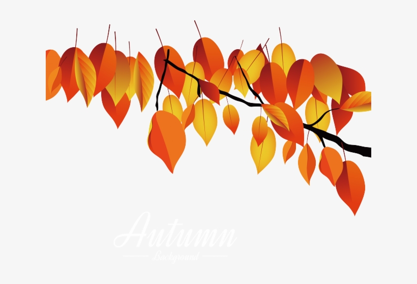 Autumn Leaves Clipart Dead Leaf - Maple, transparent png #7821846