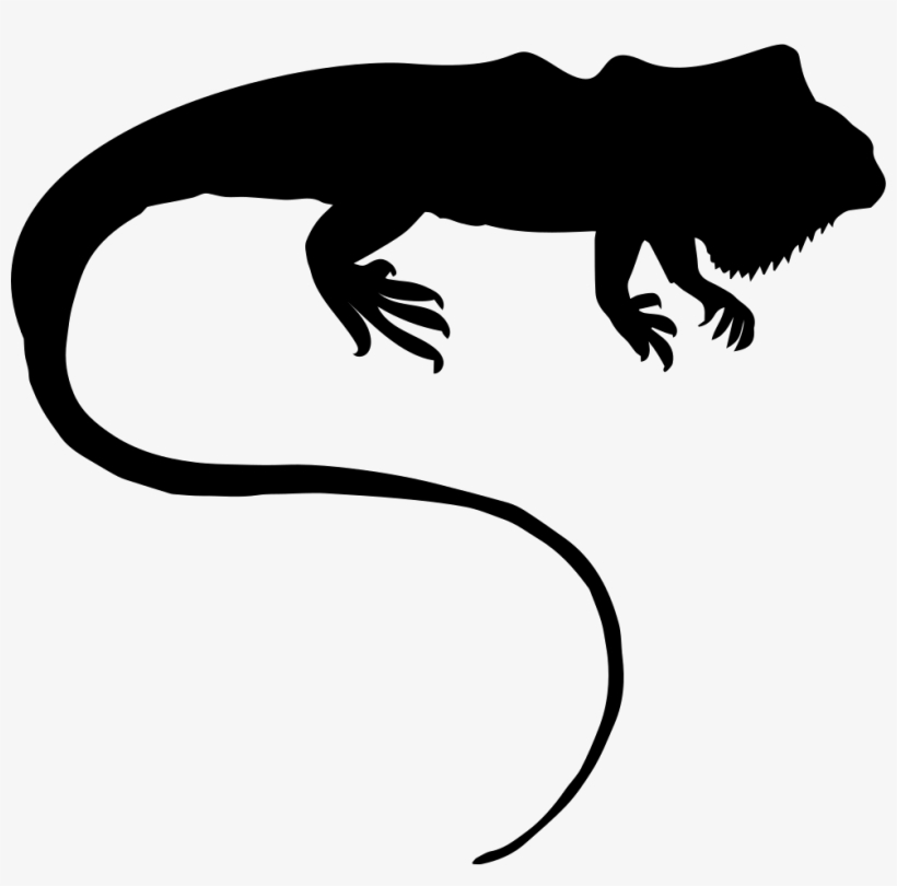 Png File Svg - Iguana Silhueta, transparent png #7823033