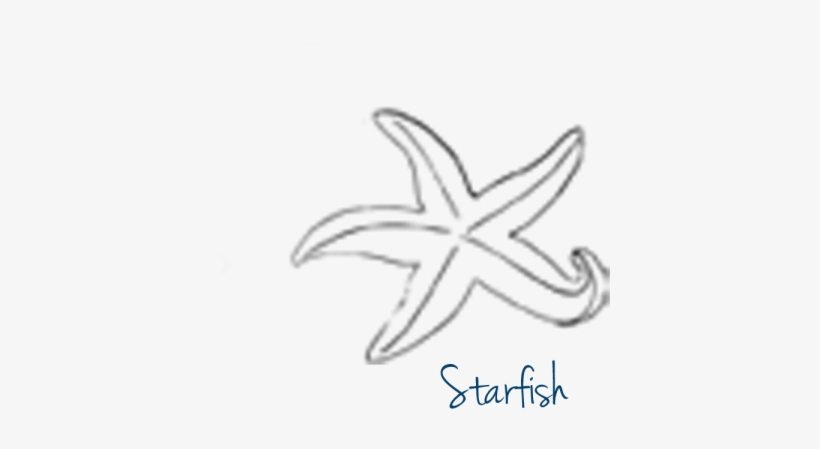 Promote Your Unique Image On The Water Do It Yourself - Starfish, transparent png #7823149