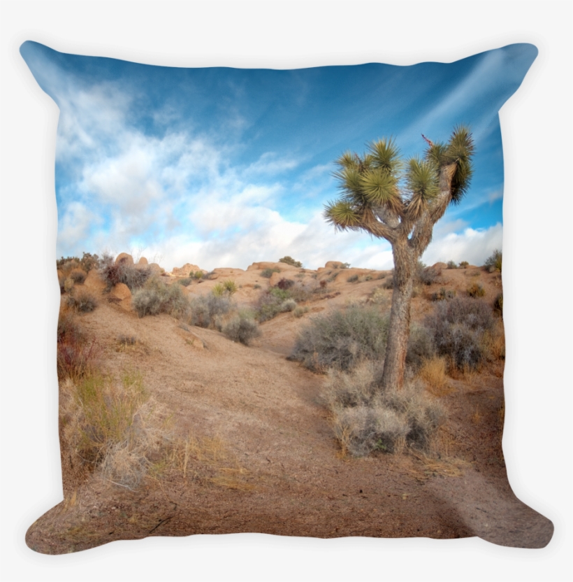 Image Of Joshua Tree, Ca - Cushion, transparent png #7823850