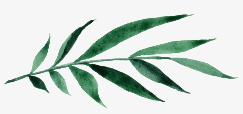 An Engagement Session In Joshua Tree, California, Was - Russian Olive, transparent png #7824164