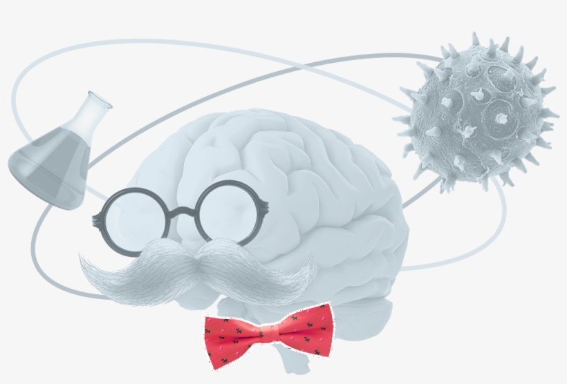 Ani Jedno Z Toho - Illustration, transparent png #7824243