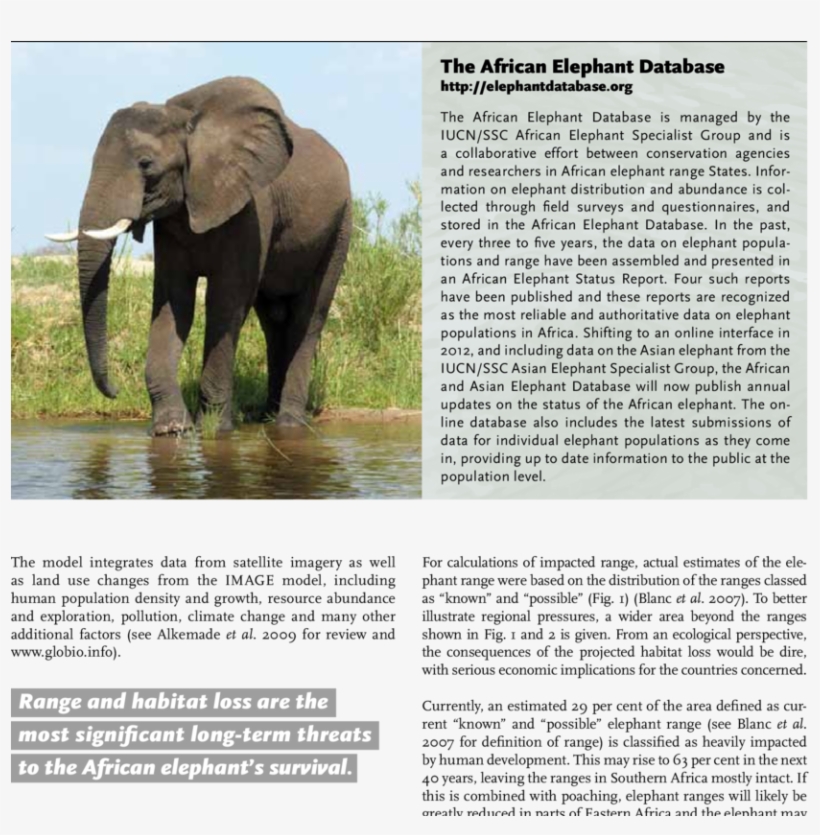 African Elephant Range And Population Density - Indian Elephant, transparent png #7824272