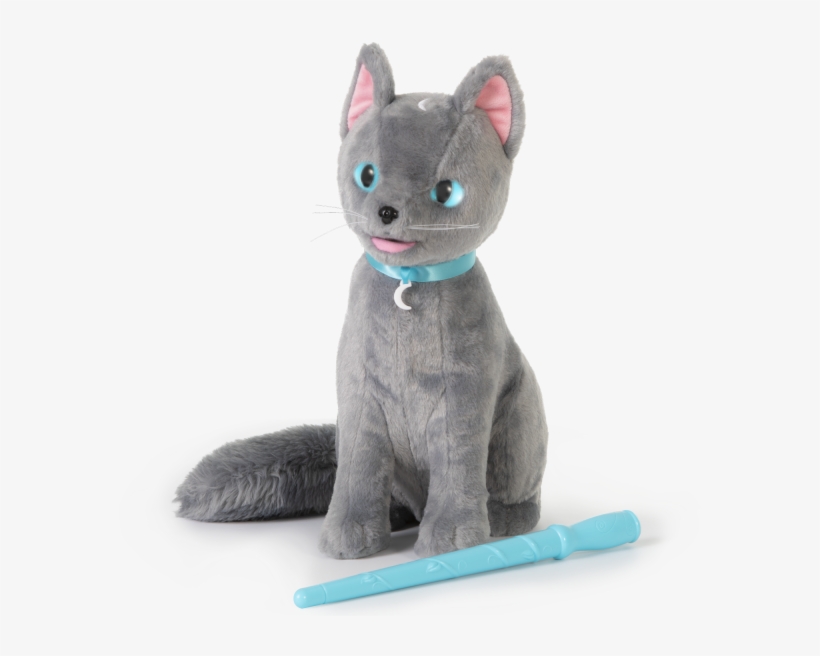 Meet Mystery Mao The Bewitched Mind Reading Cat - Mistery Mao, transparent png #7826513