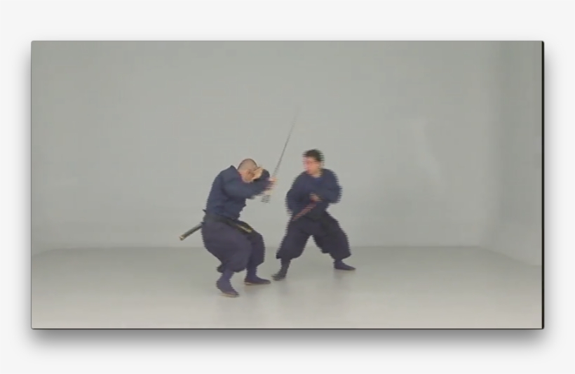 Iga Ryu Ninjutsu Empty Hands Techniques By Juan Hombre - Wushu, transparent png #7827302