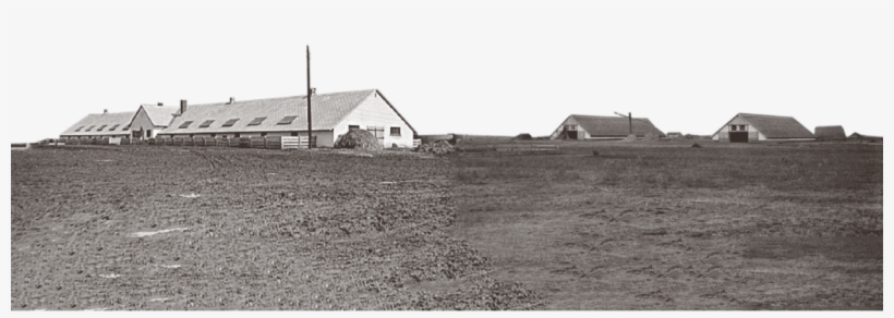 New Collective Or State Farm Buildings In Hungary Around - Barn, transparent png #7831379