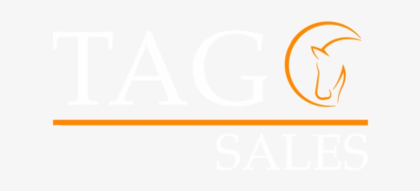 Calligraphy, transparent png #7831856