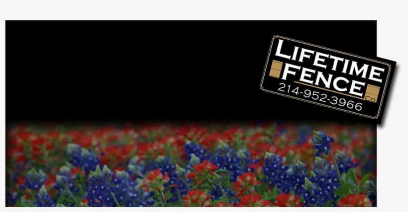 Fence Companies - Texas Wild Flowers, transparent png #7831931
