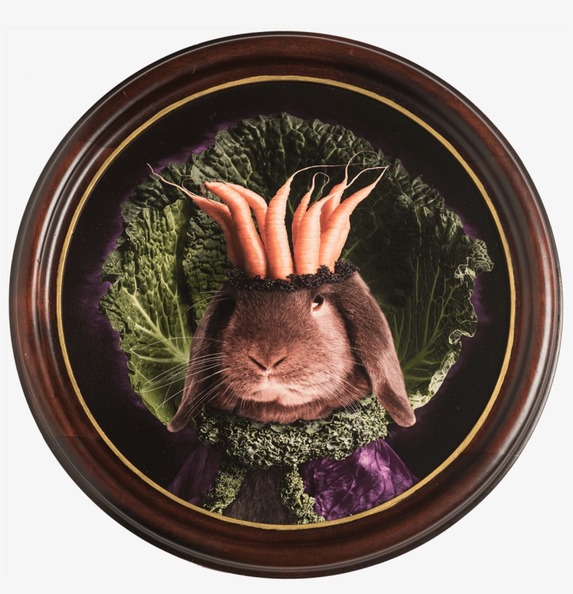 Royal Lentil Of Lettuce Land In Round Wooden Frame - Brown Hare, transparent png #7833059