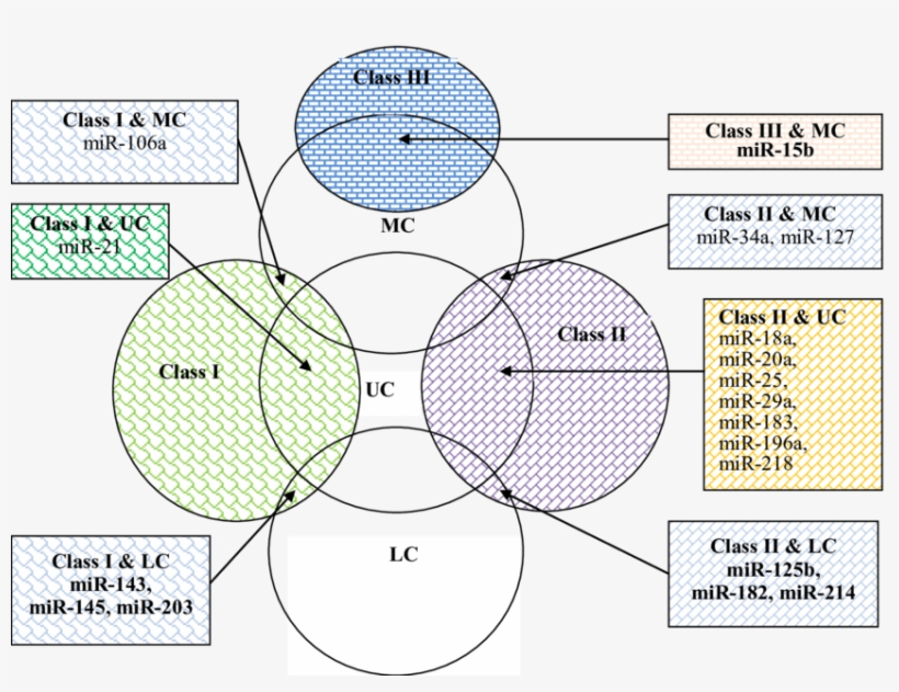 Relationship Between Frequency Of Mirna Report And - Circle, transparent png #7833850
