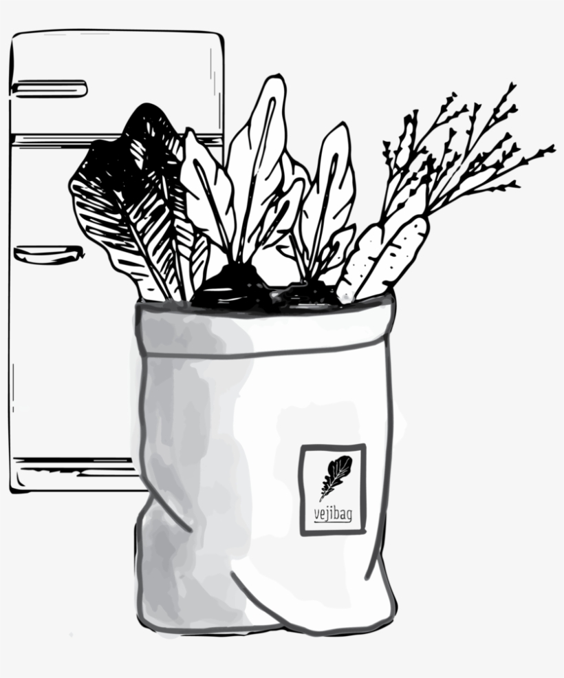 Store And Enjoy - Flowerpot, transparent png #7834335