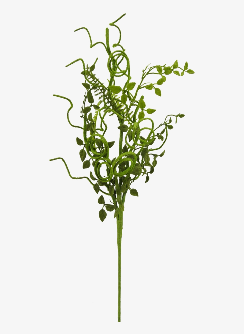 28" Moss Eucalyptus Curly Twig Spray - Grass, transparent png #7835016