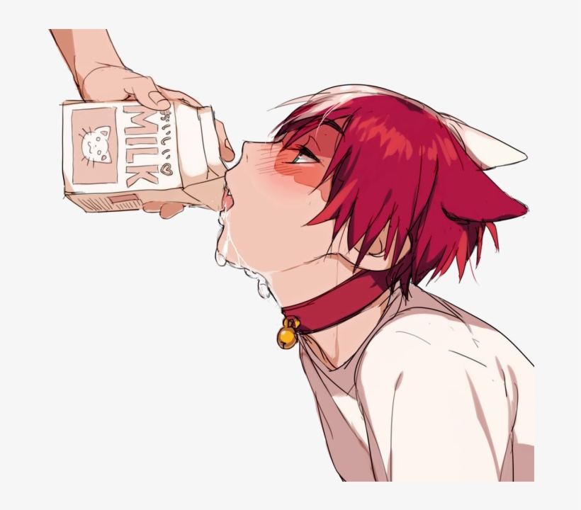 #шото #шото Тодороки #shoto #shoto Todoroki #shouto - My Hero Academia Todoroki Bl, transparent png #7835250