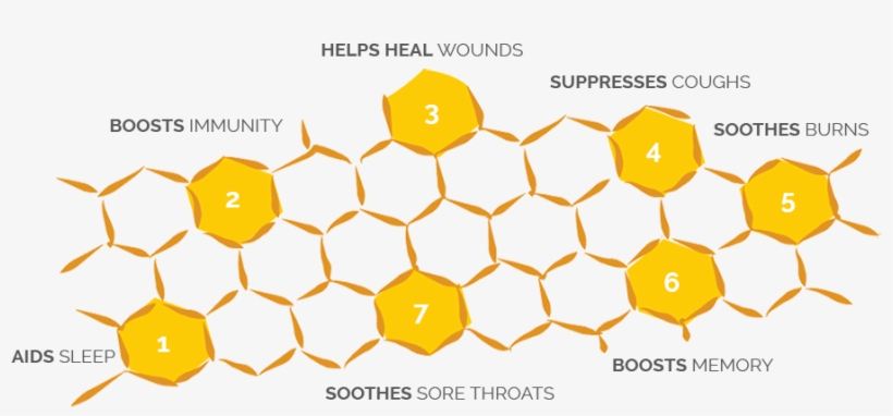 Honey Health Benefits Infographic, transparent png #7835437