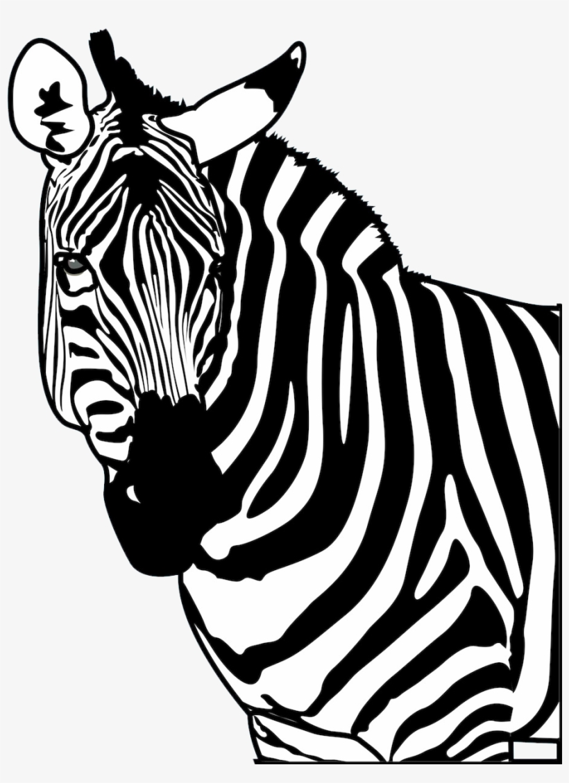 Poster Clip Art Strong Transprent Wildlife Mane - Silhouette, transparent png #7836566