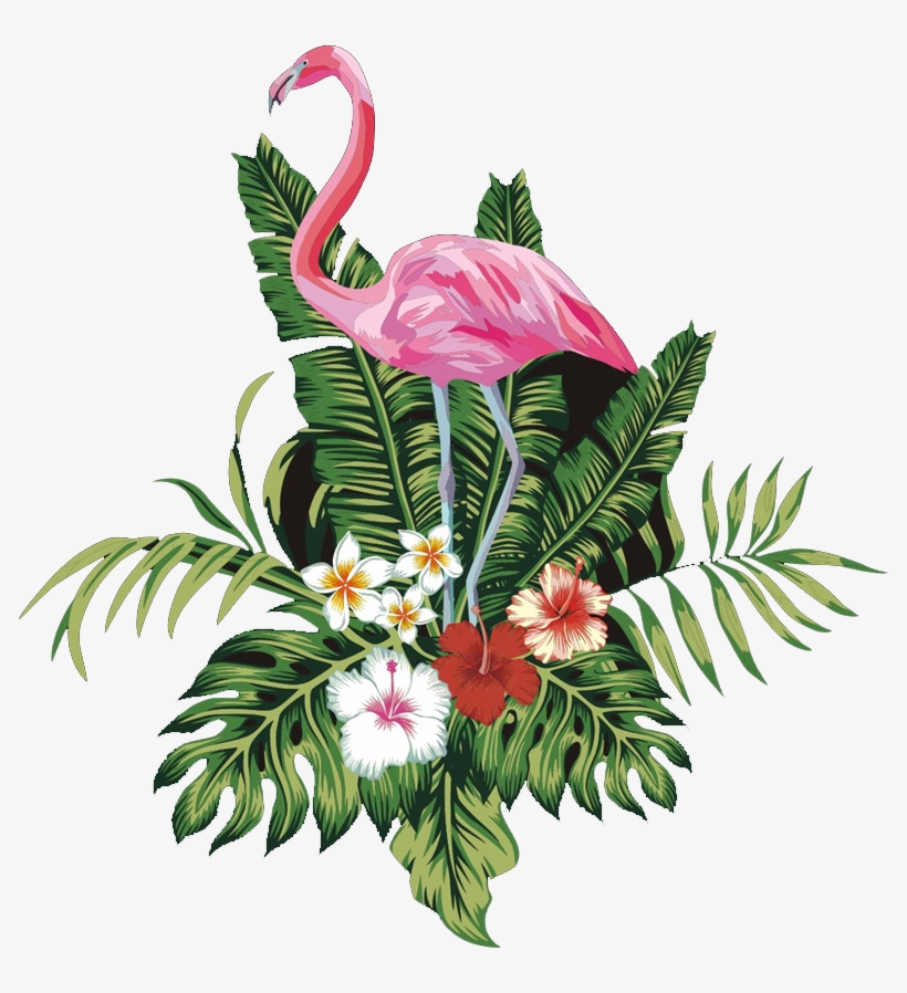 Pink Flamingo Bird Free Transparent Image Hd Clipart - Flamingo Png, transparent png #7837961