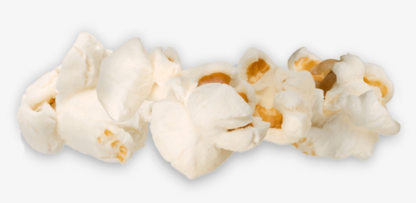 Nutritional Information - Tremella, transparent png #7838145