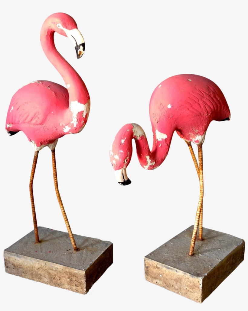 Fantastic Pair Of 1950's Vintage Pink Flamingos - Greater Flamingo, transparent png #7838245