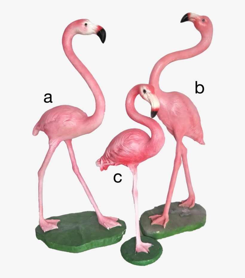 Pink Flamingo - Greater Flamingo, transparent png #7838278