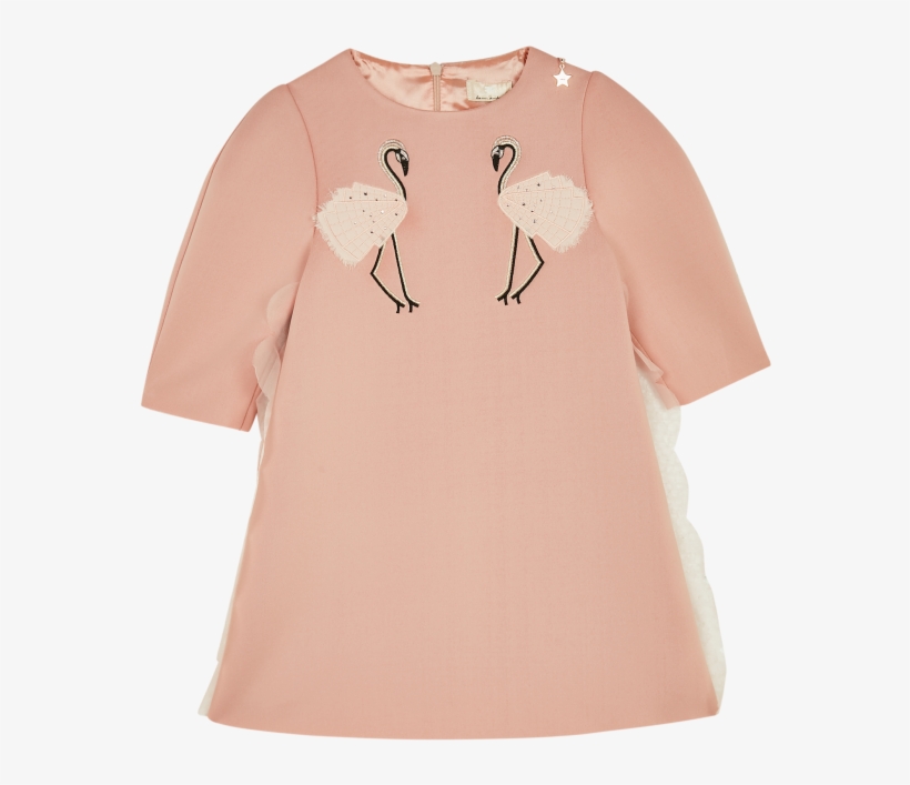 Pink Flamingo Dress - Greater Flamingo, transparent png #7838567