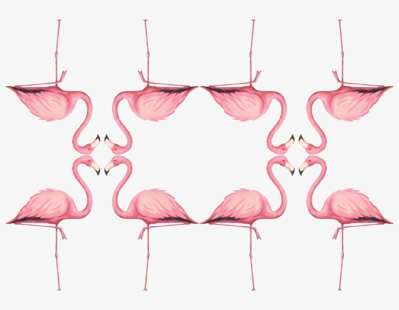 Greater Flamingo, transparent png #7839011