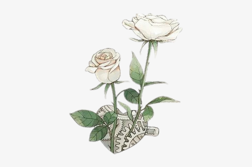 Tumblr Sticker - Garden Roses, transparent png #7839928