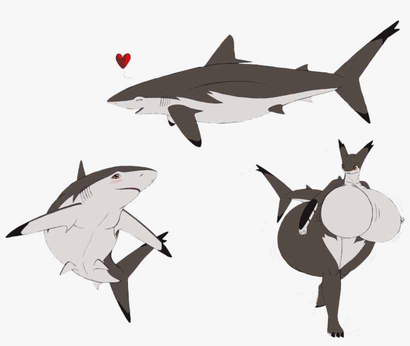Clipart Freeuse Library Great White Chondrichthyes - Hd Shark, transparent png #7840277