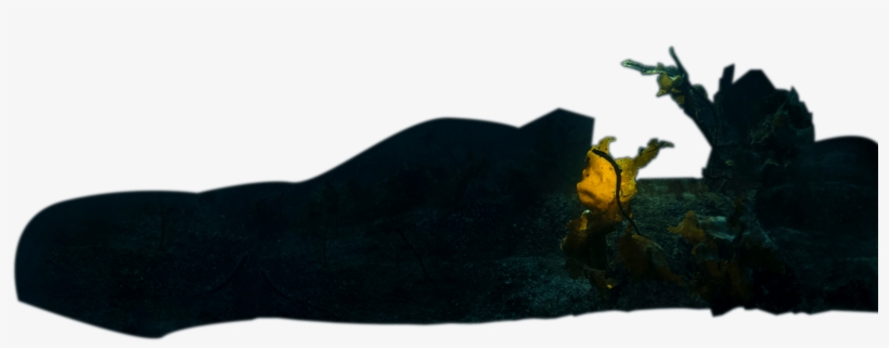 N O R W A Y N A S A O F T H E S E A - Silhouette, transparent png #7840320