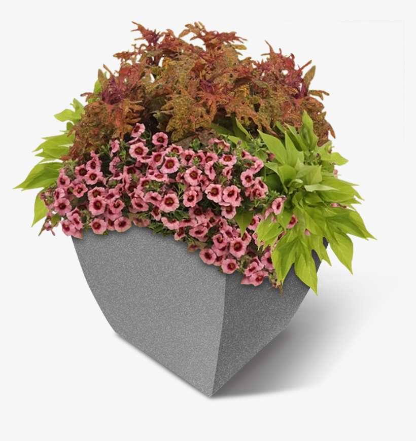 Square Commercial Planter W-flowers - Flower Planter Png, transparent png #7841030