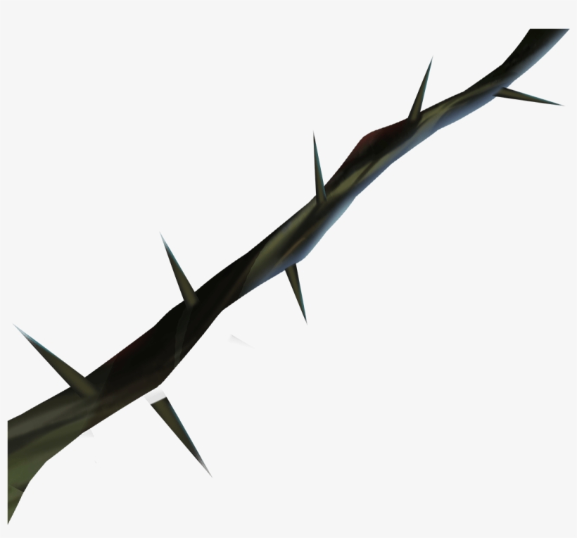 Thorns, Spines, And Prickles, transparent png #7842270