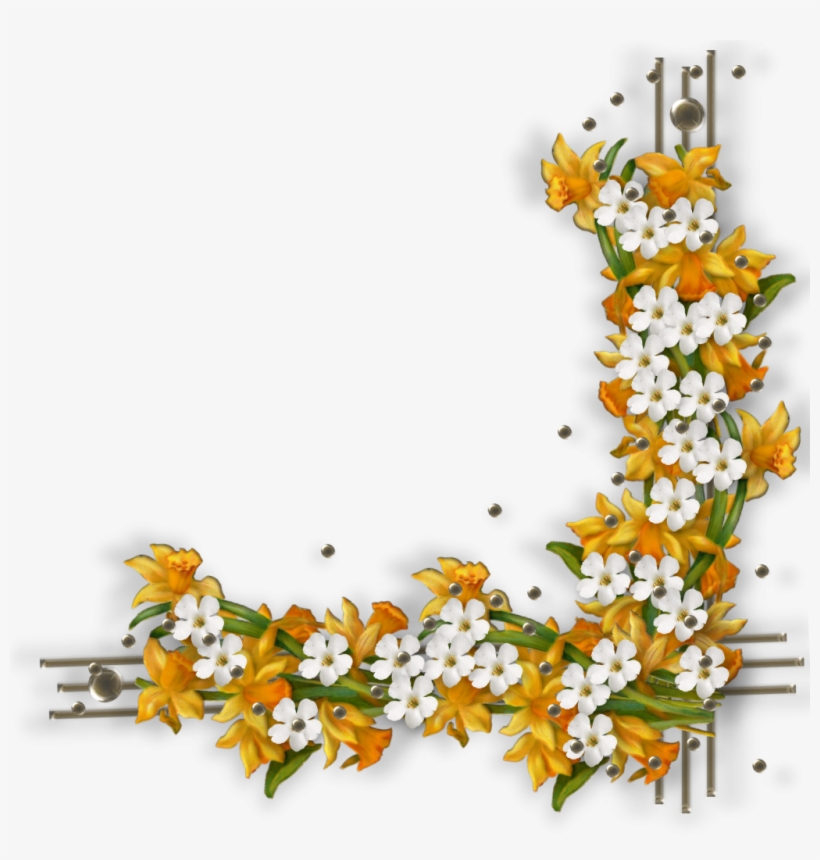 Marco Flores Vintage - Lily Family, transparent png #7843159