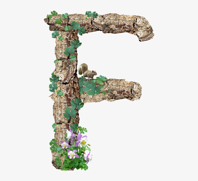 Alphabet, Letter, Rustic, Timber, Bark - Natural Arch, transparent png #7843861