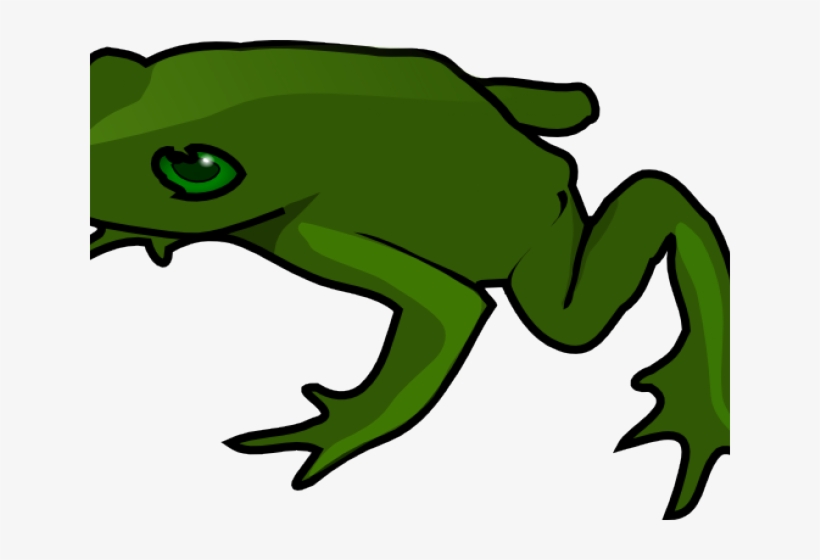 Toad Clipart Real Frog - Frog Clip Art, transparent png #7844667