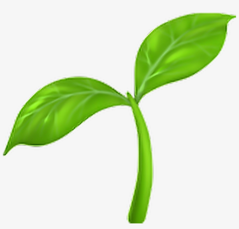 Emoji Sticker - Seedling Emoji, transparent png #7846369
