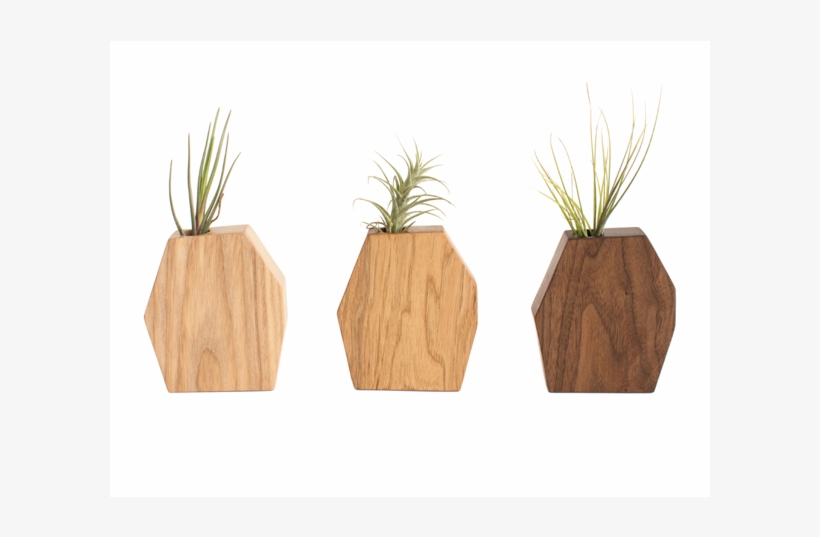 Flowerpot, transparent png #7847302