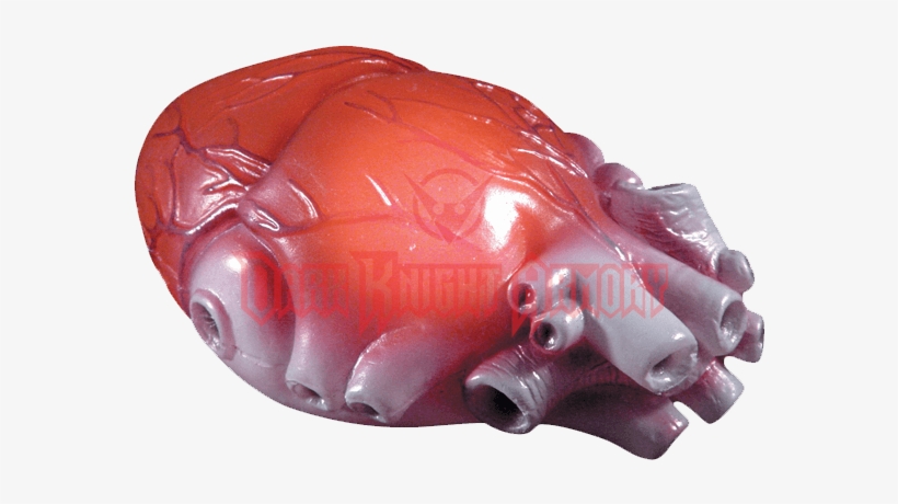 Parts Of Body, transparent png #7847341