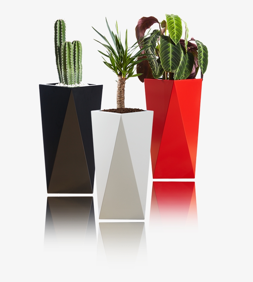 Barevné Obaly Na Květináče - Houseplant, transparent png #7847757